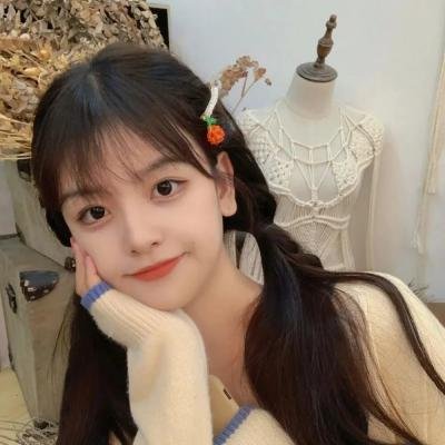 禁止入內的鼹鼠